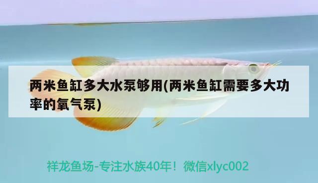 兩米魚缸多大水泵夠用(兩米魚缸需要多大功率的氧氣泵)