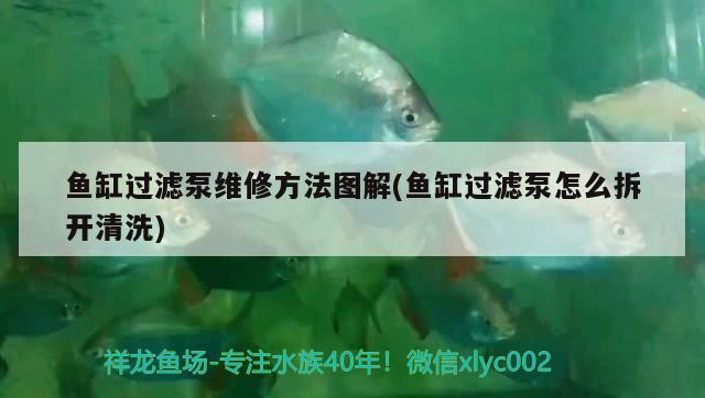 魚缸過濾泵維修方法圖解(魚缸過濾泵怎么拆開清洗)