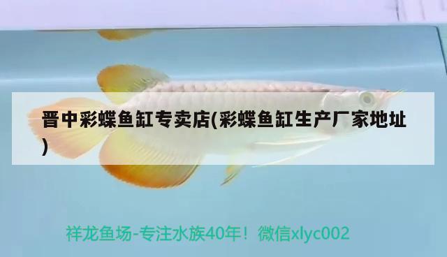 晉中彩蝶魚缸專賣店(彩蝶魚缸生產(chǎn)廠家地址)