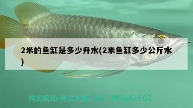 2米的魚(yú)缸是多少升水(2米魚(yú)缸多少公斤水) 電鰻