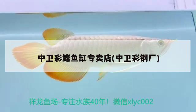 中衛(wèi)彩鰈魚(yú)缸專(zhuān)賣(mài)店(中衛(wèi)彩鋼廠)