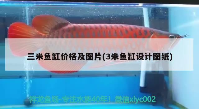 三米魚缸價格及圖片(3米魚缸設計圖紙)