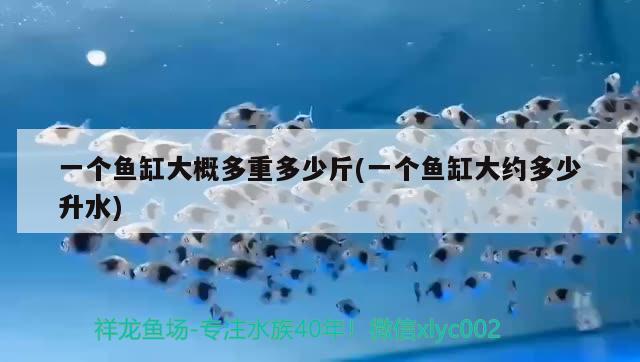 一個(gè)魚缸大概多重多少斤(一個(gè)魚缸大約多少升水) 喂食器