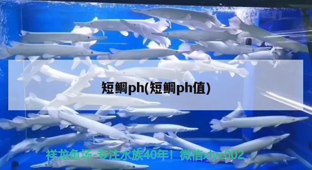 短鯛ph(短鯛ph值) 觀(guān)賞魚(yú) 第2張