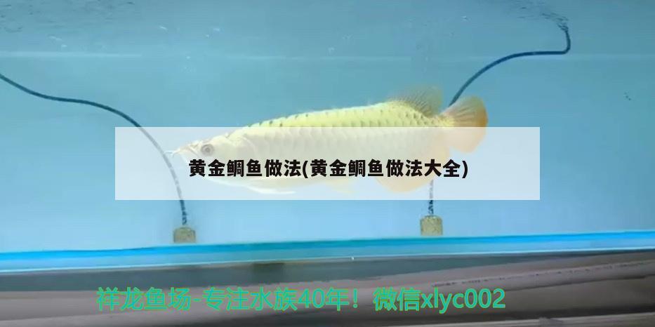 黃金鯛魚做法(黃金鯛魚做法大全)