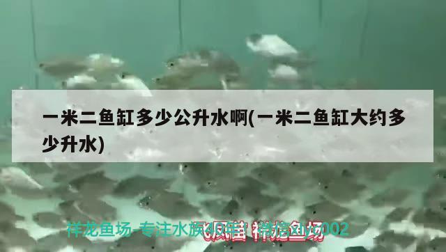 一米二魚缸多少公升水啊(一米二魚缸大約多少升水) 祥龍進口元寶鳳凰魚