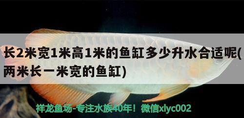 長2米寬1米高1米的魚缸多少升水合適呢(兩米長一米寬的魚缸) 野生埃及神仙魚