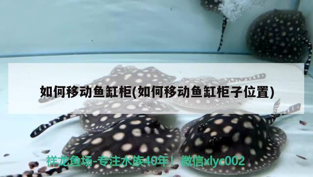 如何移動(dòng)魚缸柜(如何移動(dòng)魚缸柜子位置) 魚缸等水族設(shè)備