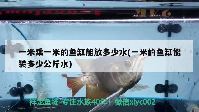 一米乘一米的魚缸能放多少水(一米的魚缸能裝多少公斤水)