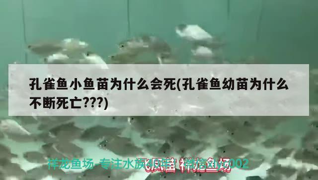 孔雀魚小魚苗為什么會死(孔雀魚幼苗為什么不斷死亡???)