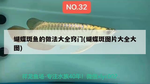 蝴蝶斑魚的做法大全竅門(蝴蝶斑圖片大全大圖)