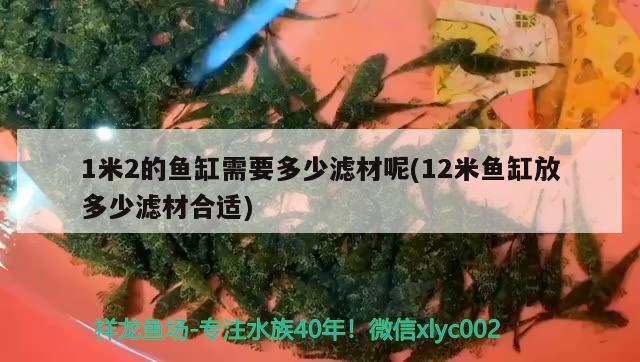 1米2的魚缸需要多少濾材呢(12米魚缸放多少濾材合適)