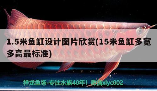 1.5米魚(yú)缸設(shè)計(jì)圖片欣賞(15米魚(yú)缸多寬多高最標(biāo)準(zhǔn))