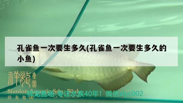 孔雀魚一次要生多久(孔雀魚一次要生多久的小魚)