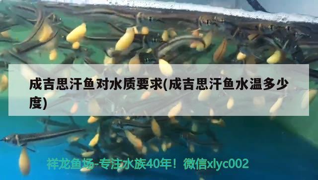 成吉思汗魚對(duì)水質(zhì)要求(成吉思汗魚水溫多少度) 觀賞魚