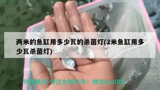 兩米的魚缸用多少瓦的殺菌燈(2米魚缸用多少瓦殺菌燈) 魚缸水泵