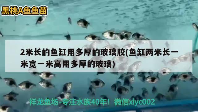 2米長的魚缸用多厚的玻璃膠(魚缸兩米長一米寬一米高用多厚的玻璃) 鴨嘴鯊魚