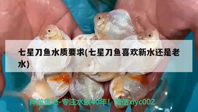 七星刀魚水質(zhì)要求(七星刀魚喜歡新水還是老水)