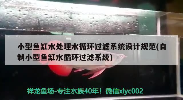 小型魚缸水處理水循環(huán)過濾系統設計規(guī)范(自制小型魚缸水循環(huán)過濾系統)