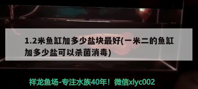 1.2米魚缸加多少鹽塊最好(一米二的魚缸加多少鹽可以殺菌消毒) 過濾設(shè)備