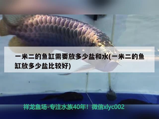 一米二的魚缸需要放多少鹽和水(一米二的魚缸放多少鹽比較好) 細(xì)線銀板魚苗