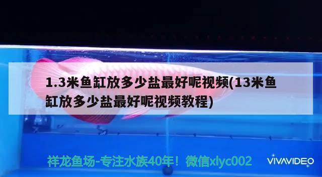 1.3米魚缸放多少鹽最好呢視頻(13米魚缸放多少鹽最好呢視頻教程)