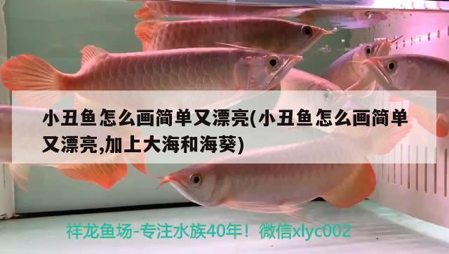 小丑魚怎么畫簡單又漂亮(小丑魚怎么畫簡單又漂亮,加上大海和?？?