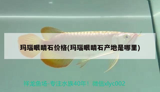 瑪瑙眼睛石價(jià)格(瑪瑙眼睛石產(chǎn)地是哪里) 觀賞魚