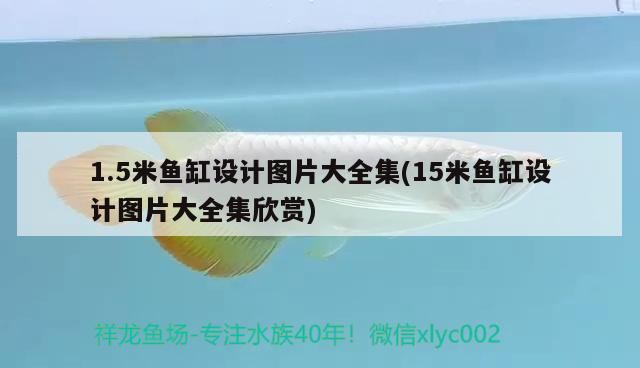 1.5米魚缸設(shè)計圖片大全集(15米魚缸設(shè)計圖片大全集欣賞)