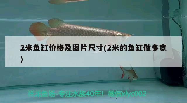 2米魚缸價格及圖片尺寸(2米的魚缸做多寬)