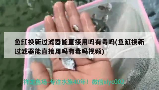 魚缸換新過濾器能直接用嗎有毒嗎(魚缸換新過濾器能直接用嗎有毒嗎視頻) 玫瑰銀版魚