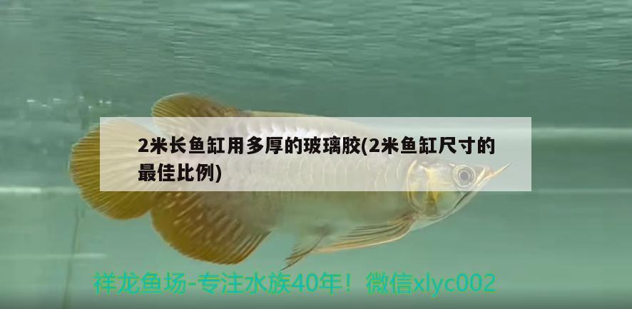 2米長魚缸用多厚的玻璃膠(2米魚缸尺寸的最佳比例)