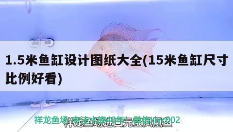 1.5米魚缸設(shè)計(jì)圖紙大全(15米魚缸尺寸比例好看)