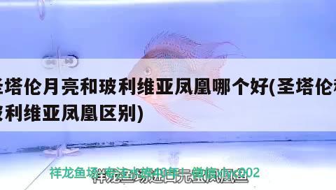 圣塔倫月亮和玻利維亞鳳凰哪個(gè)好(圣塔倫和玻利維亞鳳凰區(qū)別)