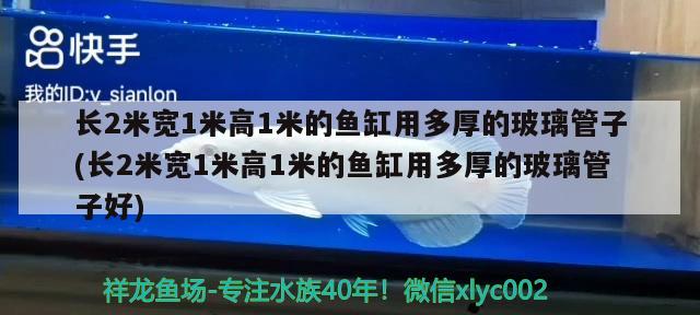 長2米寬1米高1米的魚缸用多厚的玻璃管子(長2米寬1米高1米的魚缸用多厚的玻璃管子好) 粗線銀版魚苗