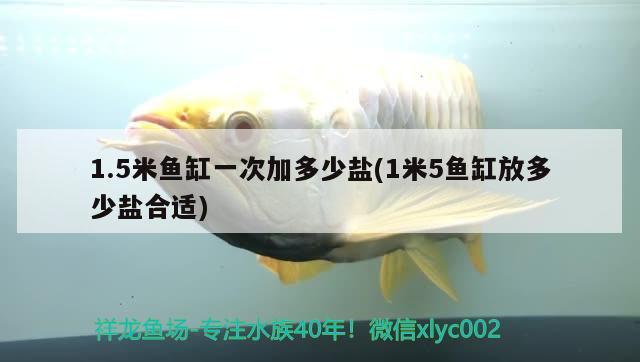 1.5米魚缸一次加多少鹽(1米5魚缸放多少鹽合適) 彩鰈魚缸（彩蝶魚缸）