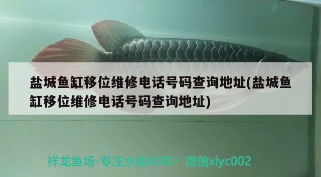 鹽城魚(yú)缸移位維修電話(huà)號(hào)碼查詢(xún)地址(鹽城魚(yú)缸移位維修電話(huà)號(hào)碼查詢(xún)地址) 熊貓異形魚(yú)L46