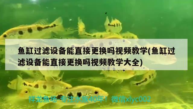 魚缸過濾設備能直接更換嗎視頻教學(魚缸過濾設備能直接更換嗎視頻教學大全)