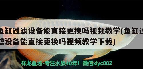 魚缸過濾設備能直接更換嗎視頻教學(魚缸過濾設備能直接更換嗎視頻教學下載)