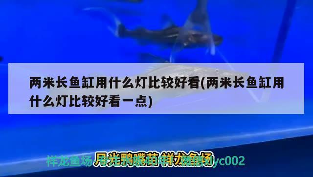 兩米長(zhǎng)魚(yú)缸用什么燈比較好看(兩米長(zhǎng)魚(yú)缸用什么燈比較好看一點(diǎn))