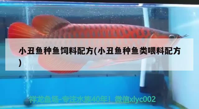 小丑魚(yú)種魚(yú)飼料配方(小丑魚(yú)種魚(yú)類(lèi)喂料配方)