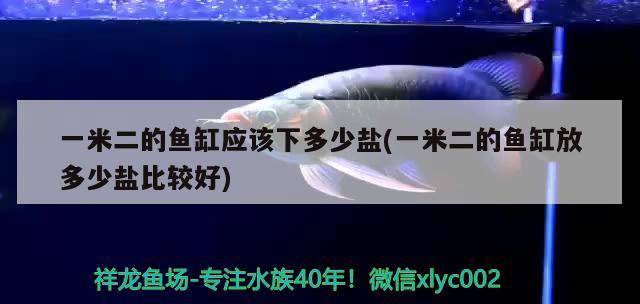 一米二的魚缸應(yīng)該下多少鹽(一米二的魚缸放多少鹽比較好) 龍魚專用燈