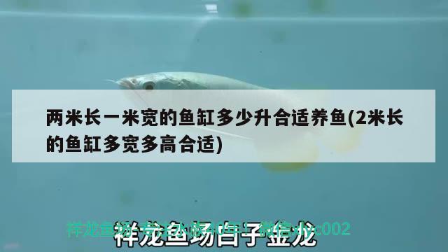 兩米長(zhǎng)一米寬的魚(yú)缸多少升合適養(yǎng)魚(yú)(2米長(zhǎng)的魚(yú)缸多寬多高合適) 七紋巨鯉魚(yú) 第2張