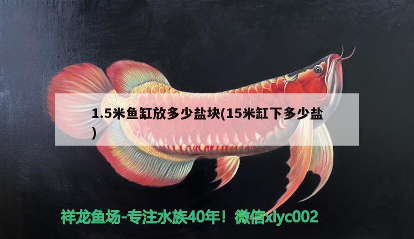 1.5米魚缸放多少鹽塊(15米缸下多少鹽)