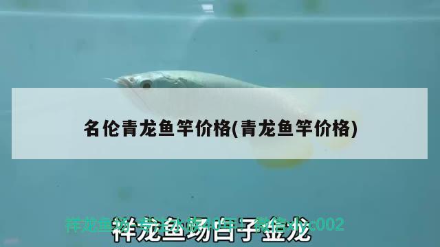 名倫青龍魚竿價格(青龍魚竿價格) 垂釣樂園