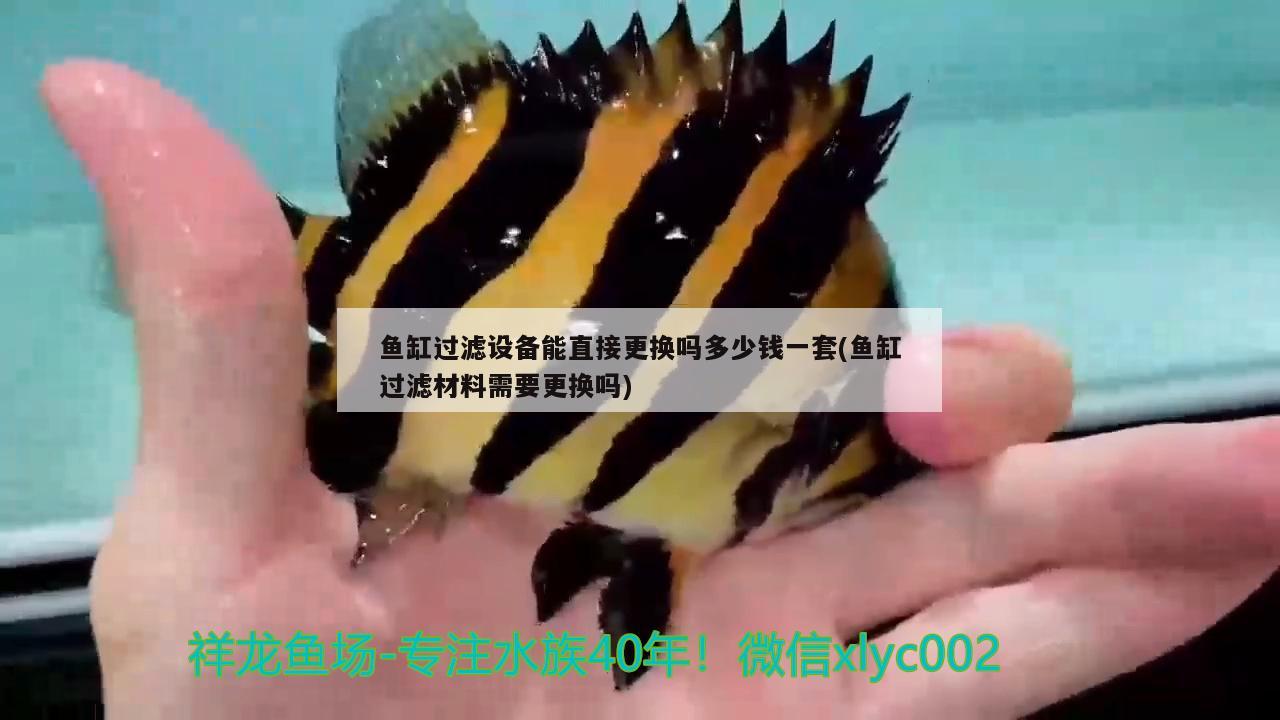 魚缸過濾設(shè)備能直接更換嗎多少錢一套(魚缸過濾材料需要更換嗎)