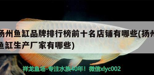 揚州魚缸品牌排行榜前十名店鋪有哪些(揚州魚缸生產(chǎn)廠家有哪些)