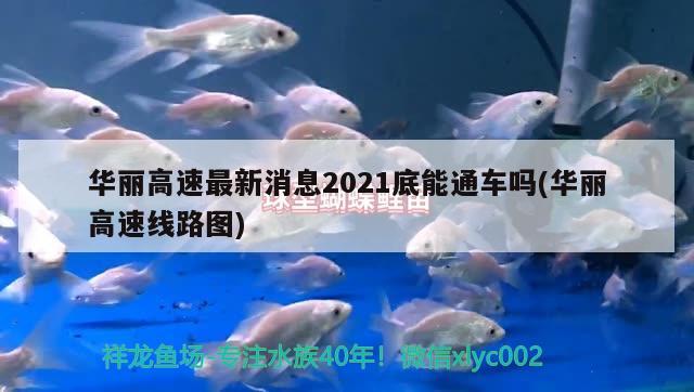 華麗高速最新消息2021底能通車嗎(華麗高速線路圖)