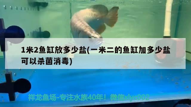 1米2魚缸放多少鹽(一米二的魚缸加多少鹽可以殺菌消毒)