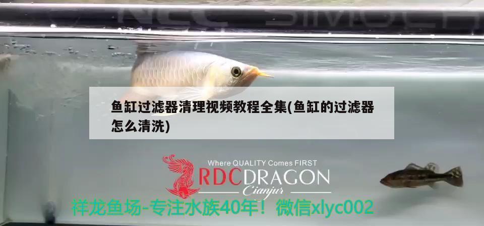 魚缸過濾器清理視頻教程全集(魚缸的過濾器怎么清洗)